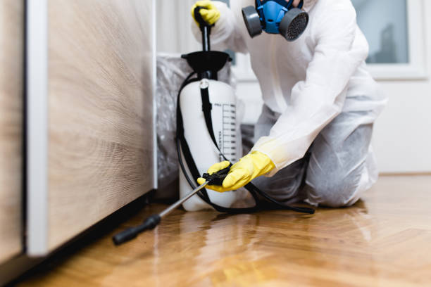 Best Local Pest Control Services  in Langdon, ND