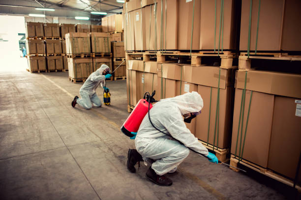 Best Affordable Pest Control Services  in Langdon, ND