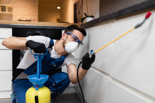 Best Emergency Pest Control  in Langdon, ND