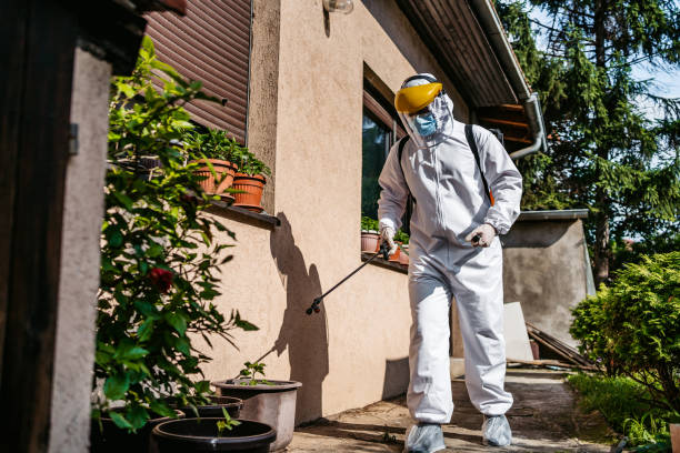 Best Local Pest Control Services  in Langdon, ND