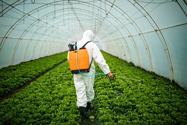 Best Ant Control Services  in Langdon, ND