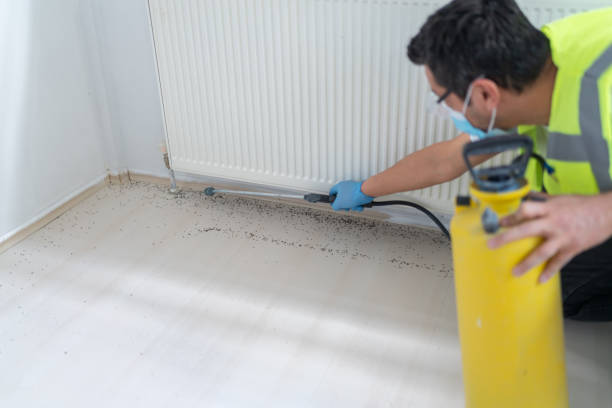 Best Pest Control Near Me  in Langdon, ND